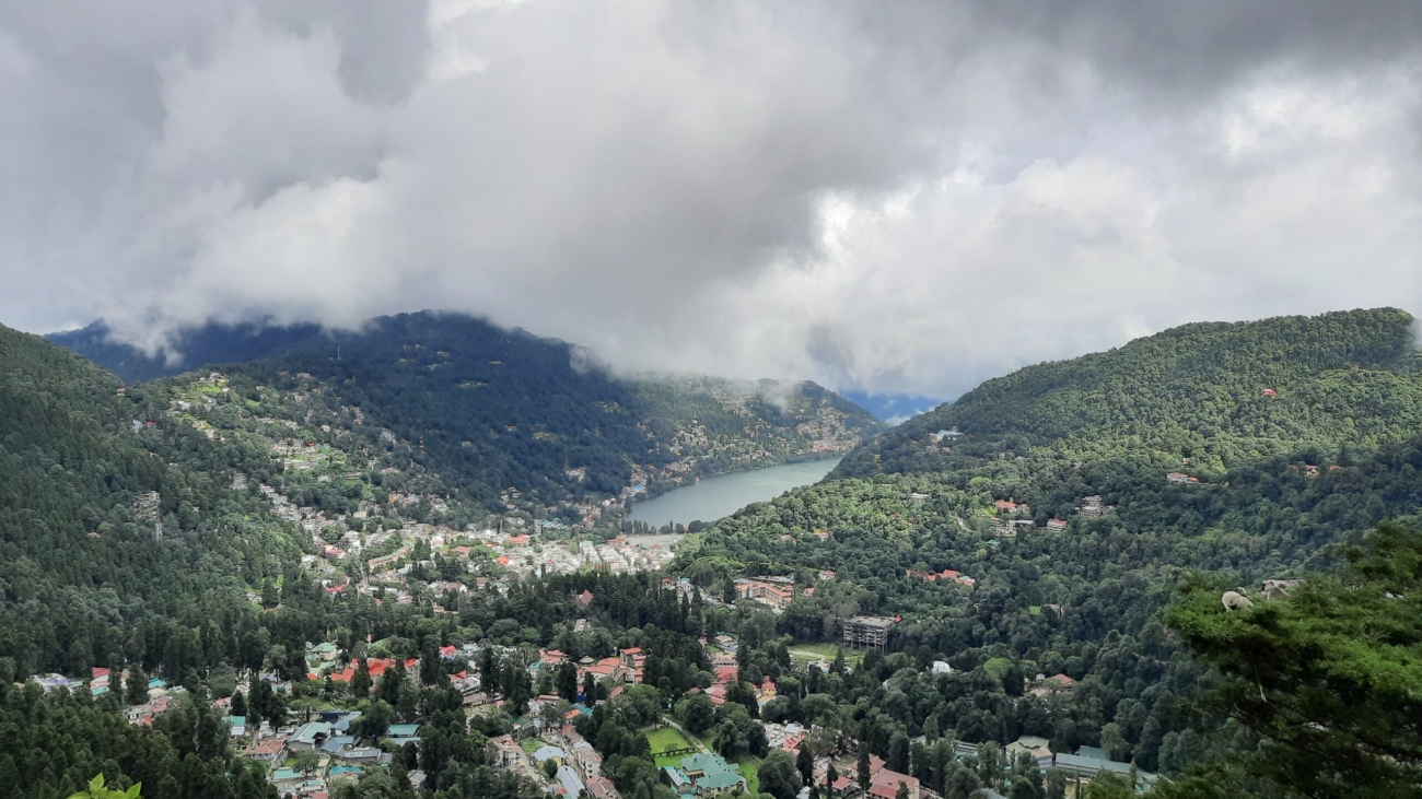 "Scenic view of a dense, green forest in Nainital with tall trees and a carpet of foliage, bathed in dappled sunlight." If you can provide more details about the specific image, I can tailor the description further to better match it.