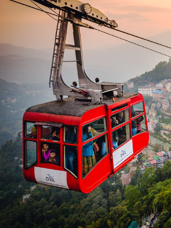 "Panoramic view of the Himalayan mountains from Darjeeling with tea gardens in the foreground and colorful buildings of Gangtok nestled in the hills."